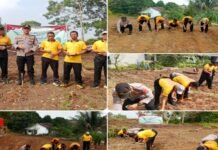 Polsek Teluk Segara Tanam Jagung Kuartal III di Lahan 5 Hektare, Dukung Program Ketahanan Pangan Nasional