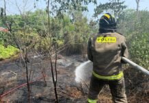 Respons Cepat Personel Dit Samapta Polda Bengkulu, Kebakaran Lahan Langsung Ditangani