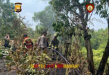 Respons Cepat, Personel Dit Samapta Polda Bengkulu Padamkan Kebakaran Lahan di Bentiring