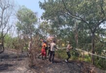 Kembali Terjadi, Polresta Bengkulu Tangani Kebakaran Lahan di Bentiring