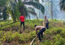 Kebakaran Lahan Gambut Kebun Sawit di Talang Benuang Seluma, 2 Hektare Terdampak