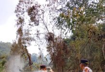 Polsek Rimbo Pengadang Bersama Damkar dan Warga Padamkan Karhutla di Desa Tik Kuto