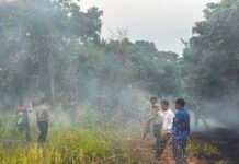 Lahan Tidur Milik Pemda di Talang Saling Terbakar, Api Berhasil Dipadamkan