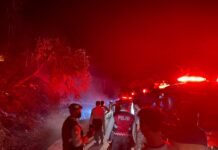 Pemadaman Kebakaran Lahan oleh Sat Samampta di Kecamatan Seluma Timur
