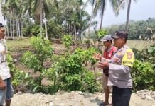 Bhabinkamtibmas Polsek Kaur Tengah Imbau Warga Cegah Karhutla