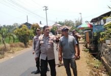 Jelang Panen Akhir Oktober, Polresta Batang Cek Lahan Jagung di Desa Gombong Pecalungan