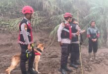 Unit Polsatwa Ditsamapta Polda Sumbar Turunkan K9 Spesifikasi SAR Telusuri Jalur Air Bah