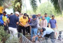 Kapolres Lebong Bersama Personel Ikut Gotong Royong Pemasangan Bronjong Penahan Sungai Air Ketahun Di Desa Talang Leak II