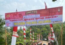 Jembatan Merah Putih Presisi di Napal Jungur Diresmikan, Hubungkan Tiga Desa