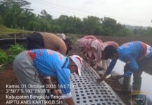 Bhabinkamtibmas Dampingi Monitoring dan Penanaman Bawang Putih di Semidang Lagan