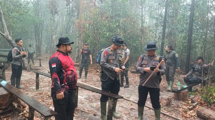 WhatsApp Image 2026-10-28 at 16.05.35
