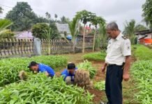 Lapas Arga Makmur Panen 60 Kilogram Kangkung, Dukung Program Ketahanan Pangan