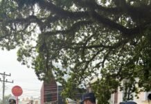 Perkuat Pengawasan dan Keselamatan Jalan, PT Jasa Raharja (Persero) Bengkulu Ikuti Giat GAKUM di Bengkulu Tengah